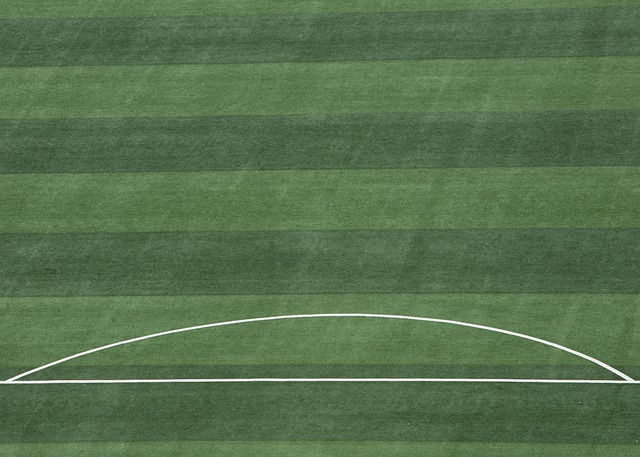 球迷的期待 球迷的期待