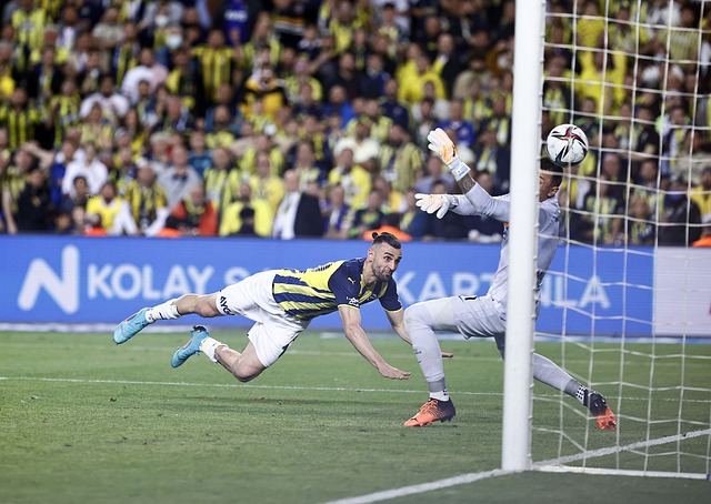 西亚公开赛 西亚公开赛