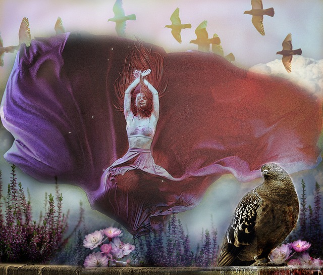 此高的夺冠 此高的夺冠