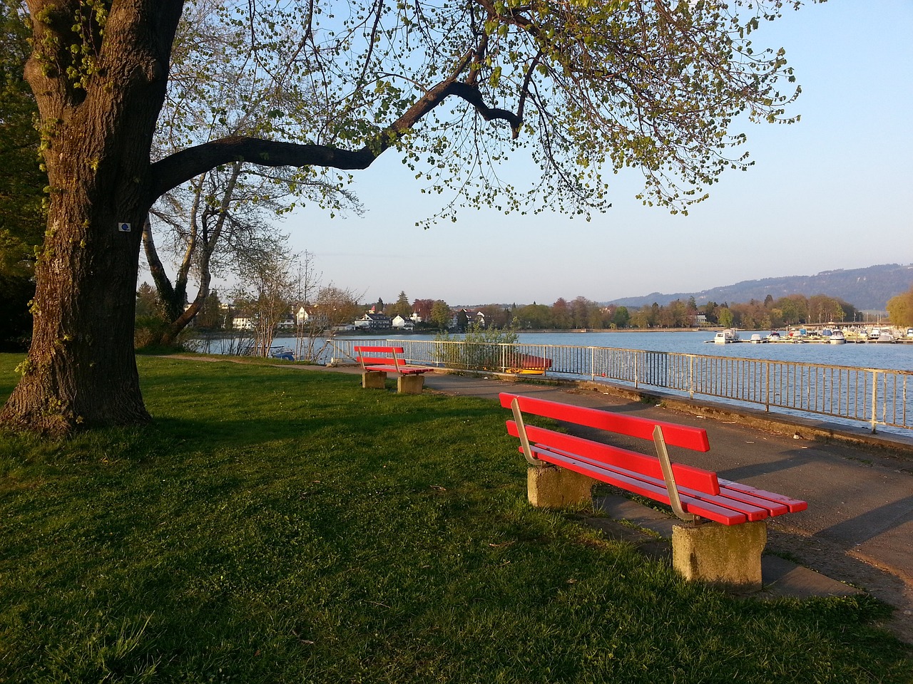 同时也是联 同时也是联