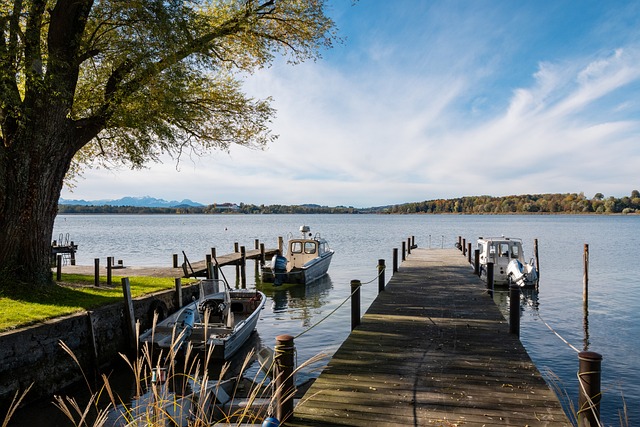 为切实保护 为切实保护