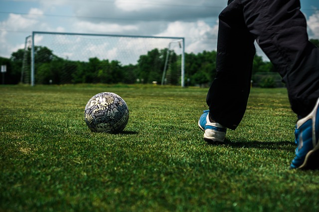 培养年轻天 培养年轻天